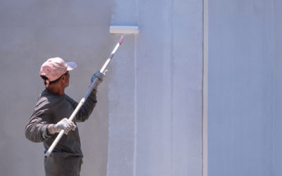 What Is Paint Primer?